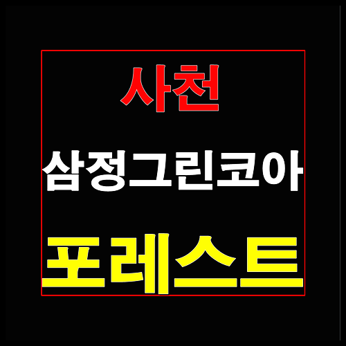  사천 삼정그린코아 포레스트 법인 계약시 중도금유예 선착순 줍줍