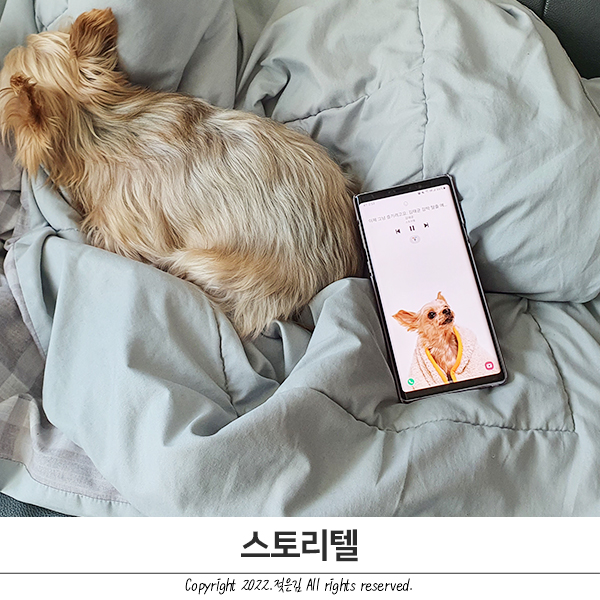책읽어주는앱 스토리텔 독서량 늘리기 김태균에세이로 시작! 책읽어주는앱 스토리텔 독서량 늘리기 김태균에세이로 시작!