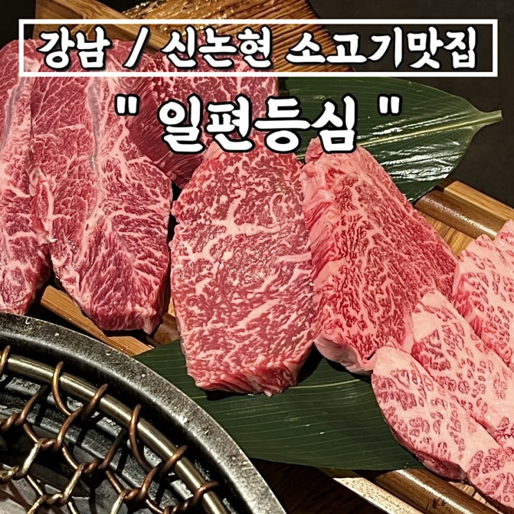 강남/신논현역 소고기맛집"일편등심" 투플한우로 배채운날+샤베트서비스, 데이트맛집