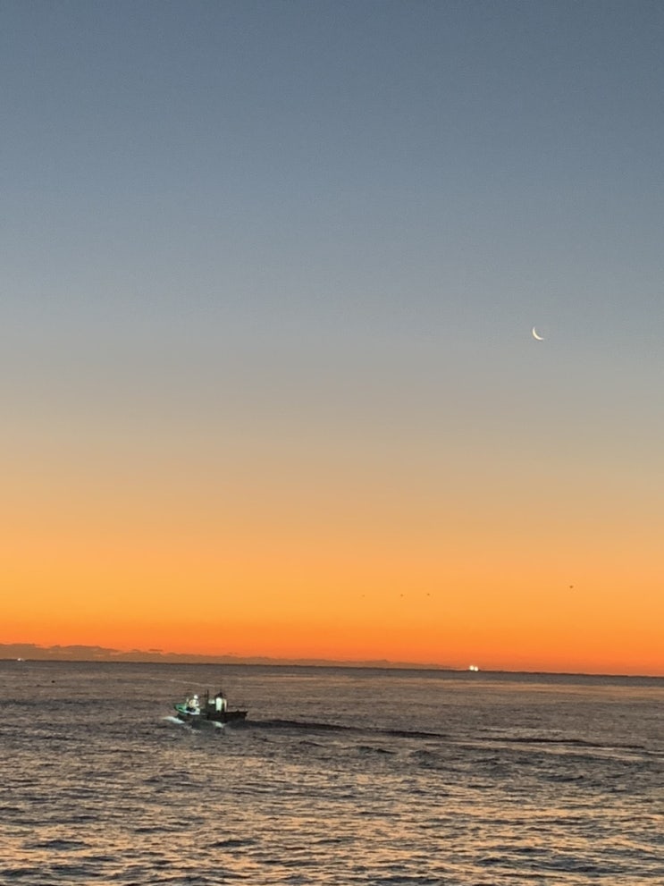  해돋이