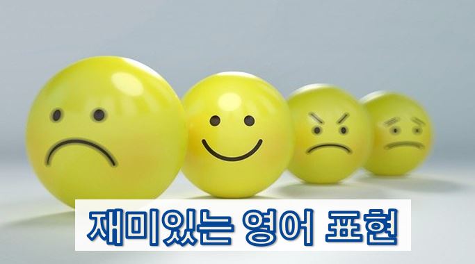  재미있는 영어 표현 (Fun Expressions)