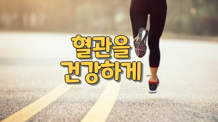  혈관을 건강하게