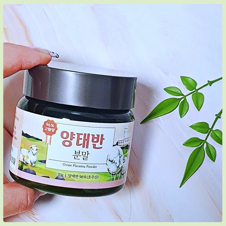  양태반 부작용과 가루 효능 복용법까지 알아보기
