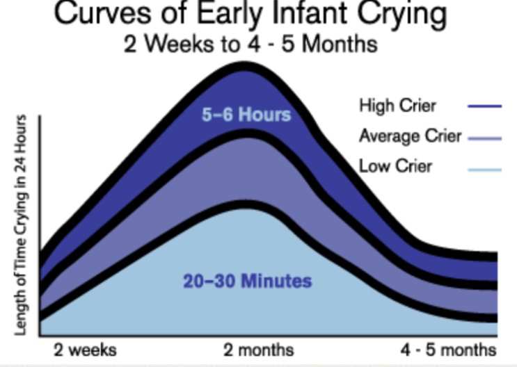 자지러지게 우는 아기, 영아 산통 이유, 달래는 법, 우는 것보다 아기 머리 흔들림이 더 위험하다?