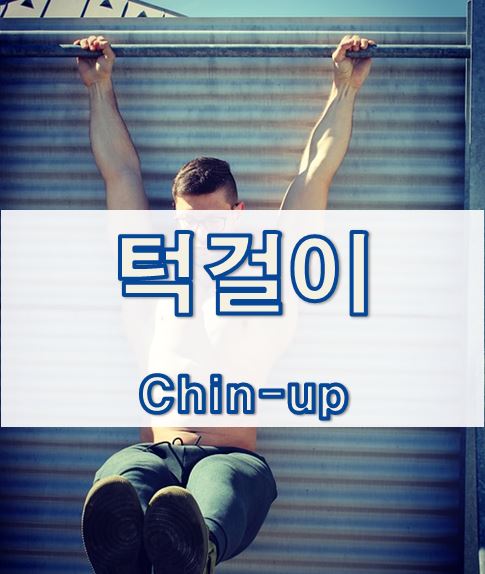  턱걸이에 대해... (Chin-up)
