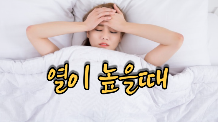  열이 높을때