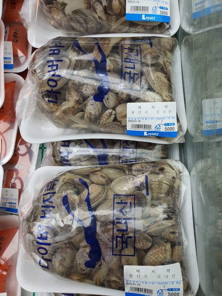  바지락 해감 방법 및 효능  그리고 칼로리