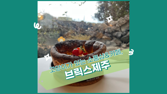 브릭스 제주, 팬케이크를 먹을 수 있는 소품샵&카페. 치즈냥 채영이를 보고 왔어요.