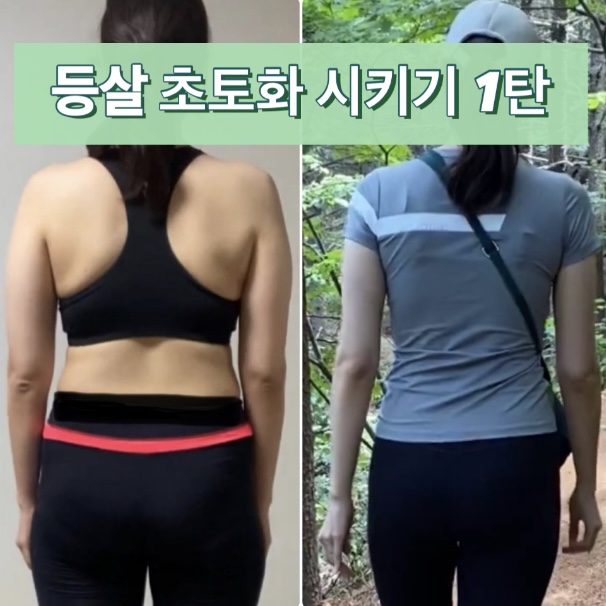  툭튀어나온 등살 빼는 운동법 상편