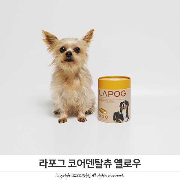강아지간식 추천 라포그 코어덴탈츄 옐로우 강아지껌 강아지간식 추천 라포그 코어덴탈츄 옐로우 강아지껌