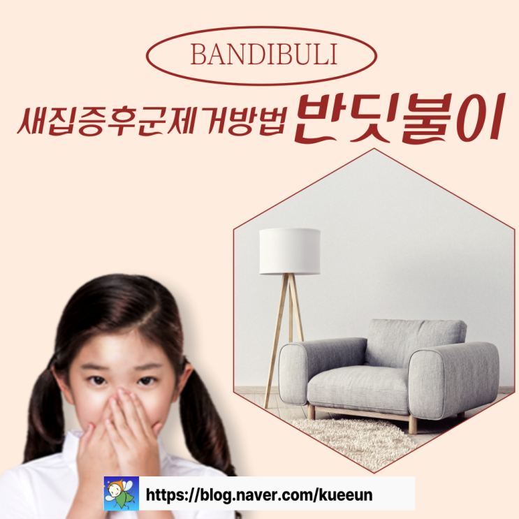  새집증후군제거방법 반딧불이 토탈 서비스?!