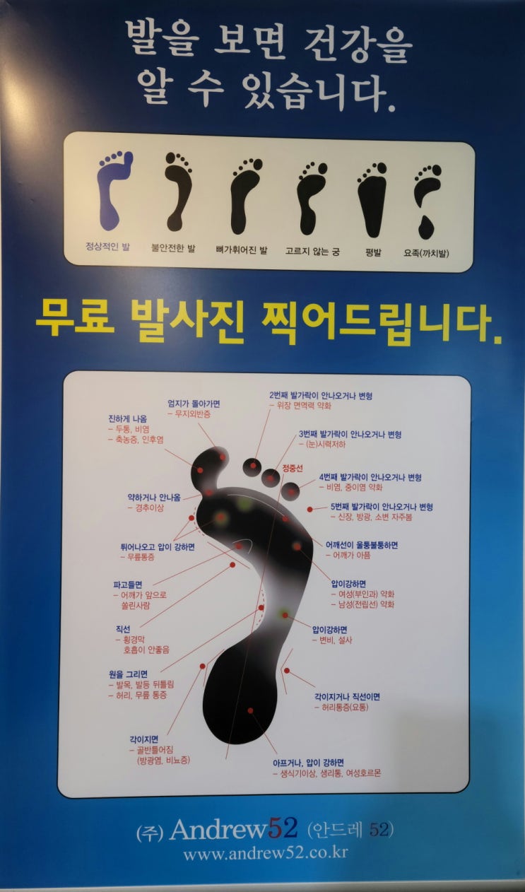  [평발교정] 기능성 발교정깔창추천 발건강 안드레52