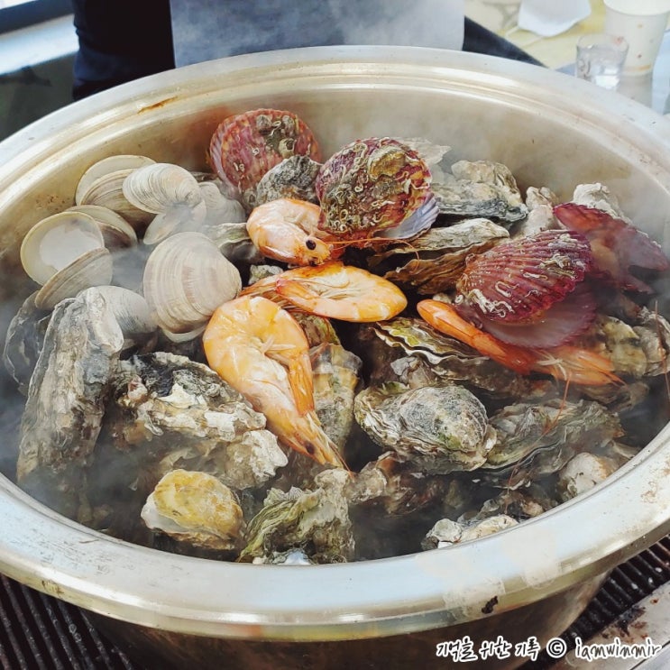 보령 천북굴단지 겨울엔 역시 굴, 천북88굴수산 보령 천북굴단지 겨울엔 역시 굴, 천북88굴수산