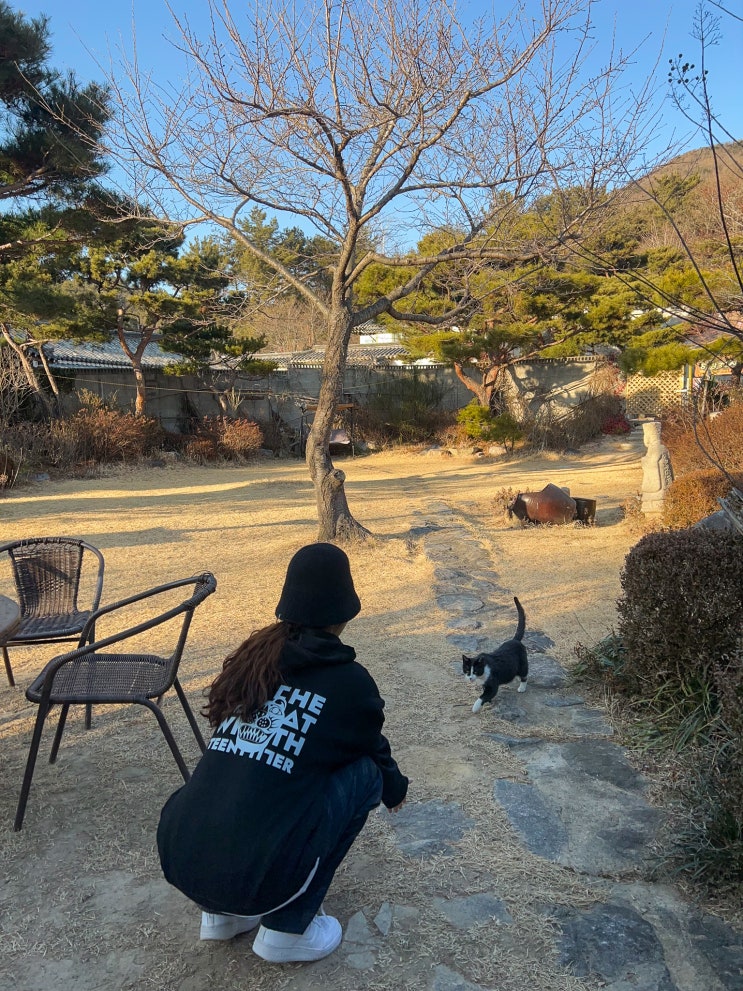 신년파티 임인년 선물 호랑이 맨투맨 코디 신년파티 임인년 선물 호랑이 맨투맨 코디