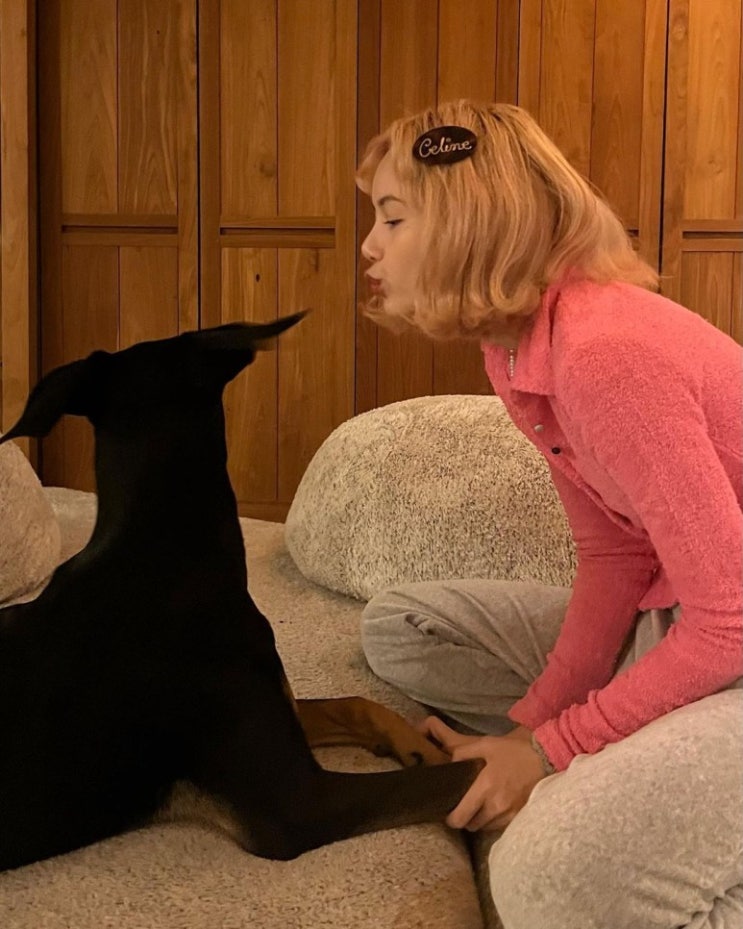 블랙핑크 리사, 새 가족으로 맞이한 반려견 '러브' 재롱을 보며 행복해하는 일상 블랙핑크 리사, 새 가족으로 맞이한 반려견 '러브' 재롱을 보며 행복해하는 일상