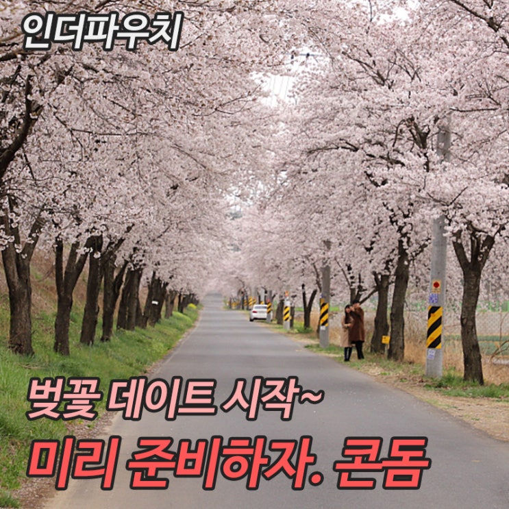  석촌벚꽃 데이트 준비물 후지라텍스 퓨어젤리, Pure Jelly
