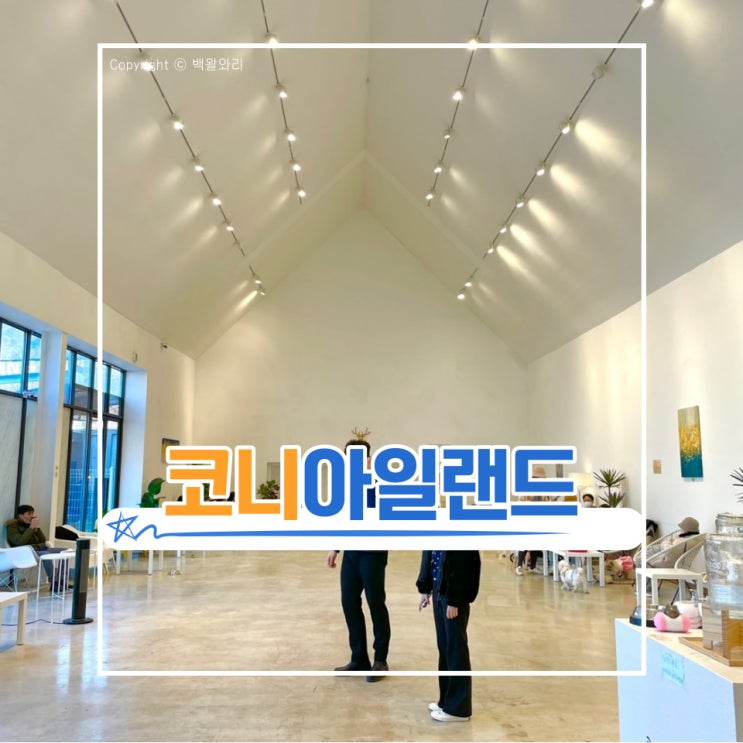  마음껏 뛰어 놀았던 서울근교 애견카페, 코니아일랜드