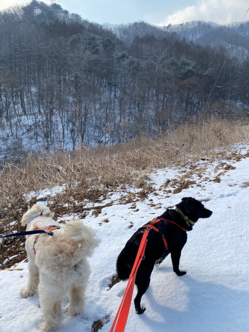 사진 10