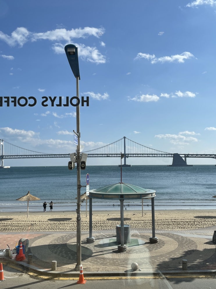  [부산여행] 2박 3일 둘쨋날(자갈치역) / 고향카츠 / 대정양곱창 / 카페 아나브린 / 세정물회 / 맛집코스