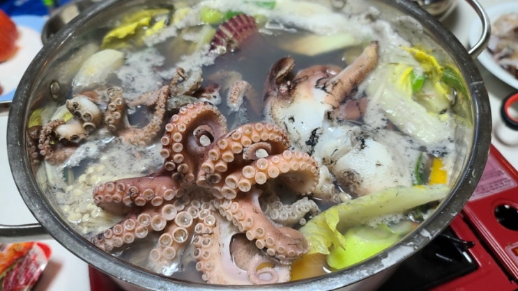  새조개 샤브샤브 만들기 남당항 새조개축제 맛집 만중이네회수산 택배
