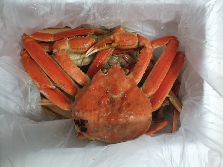  대게 택배로 받아서 신나게 먹어요.