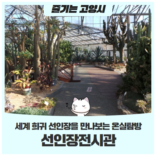 일산호수공원 선인장 전시관세계희귀 선인장 겨울 온실 탐방하세요! 일산호수공원 선인장 전시관세계희귀 선인장 겨울 온실 탐방하세요!