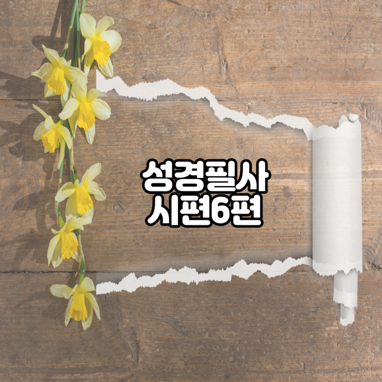  시편 6편 성경필사