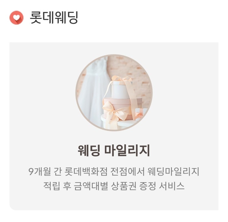  W13. 롯데 웨딩멤버스 가입 후기 (꼼꼼 신부의 웨딩마일리지 소개, 점포별 웨딩마일리지 적립기준 등)