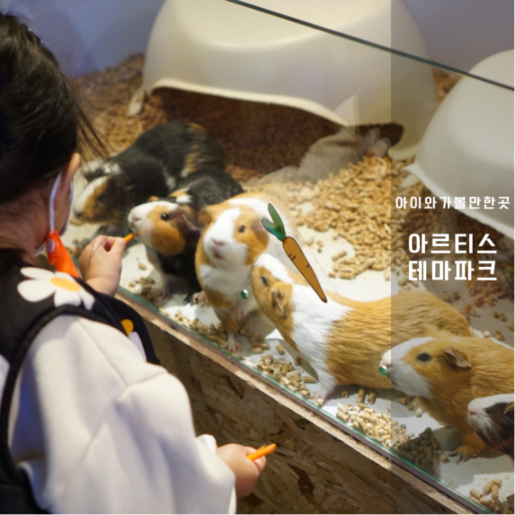  경기도 화성 아이와함께가볼만한곳 동탄 아르티스테마파크 후기 겨울 실내동물원 추천