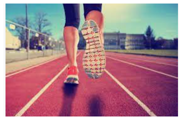 발의 회외 회내? 내번 외번? (Supination, Pronation vs Inversion, Eversion) 같은 의미 일 ...