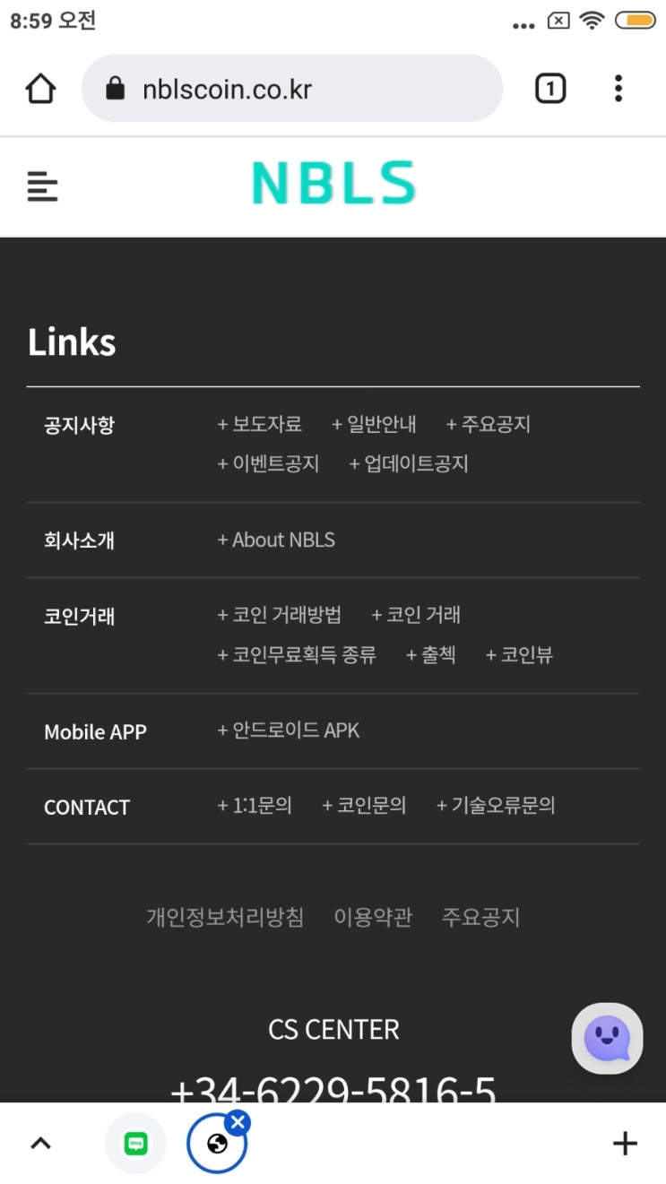  [노블레스 코인] 3월에 정식 시행되는 극초기 코인. Lbank 상장예정. NBLS