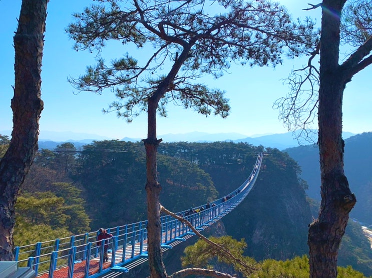 (원주여행) 원주 소금산 그랜드밸리 나들이<출렁다리,소금산길,간현관광지>
