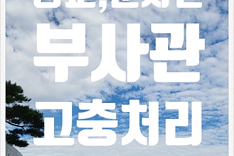 명성행정사사무소 이미지