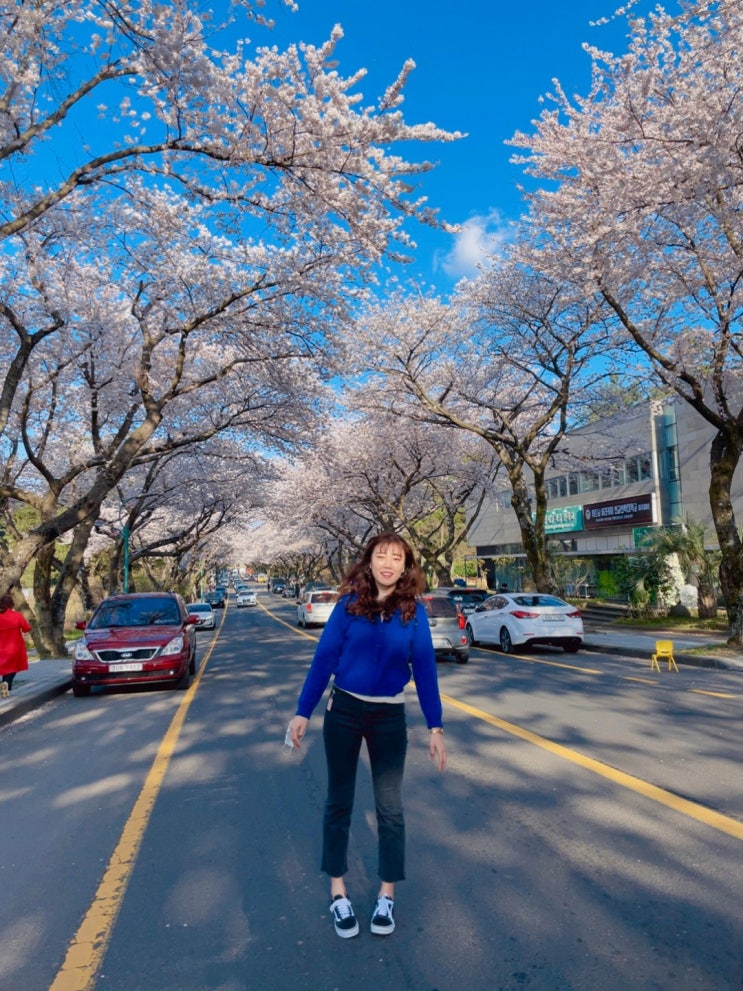  3월 제주도 2박3일 가족여행 계획짜기!