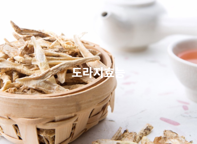  도라지 효능 기관지에 좋은 이유 부작용