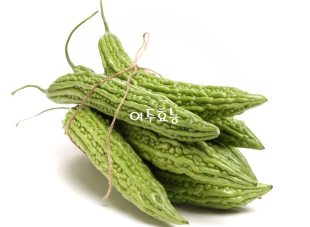  당뇨 고혈압 있다면 여주 효능 알아보세요