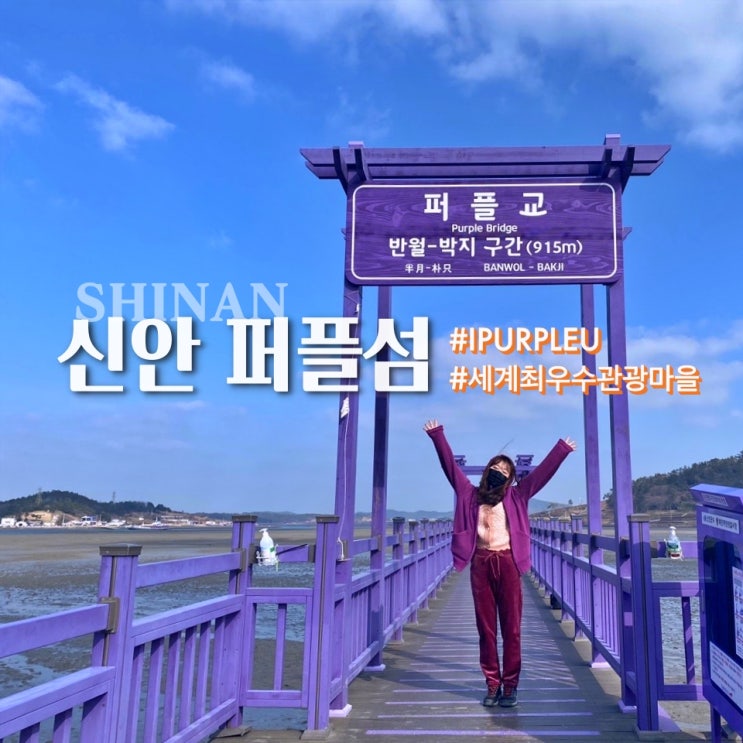  신안 퍼플섬 - 세계 최우수관광마을, 반월도 박지도 보라보라해!