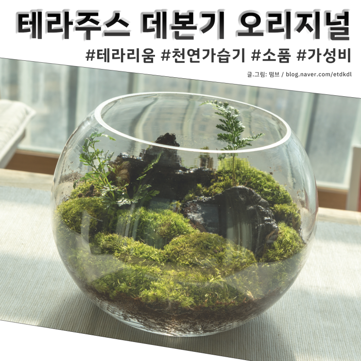  테라주스 테라리움 데본기 오리지널 홈가드닝