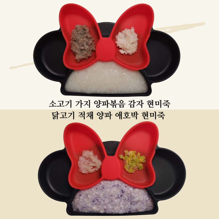  가지 이유식 적채 이유식 중기 이유식 소고기 가지 양파 조림 현미죽 닭고기 적채 애호박 현미죽