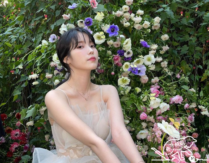 아이유, 필모그래피로 살펴 본 스물에서 서른까지 총정리 아이유, 필모그래피로 살펴 본 스물에서 서른까지 총정리
