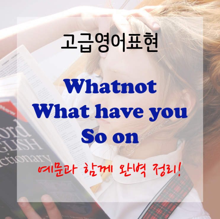 [고급영어표현] whatnot, what have you, so on ~같은 것들