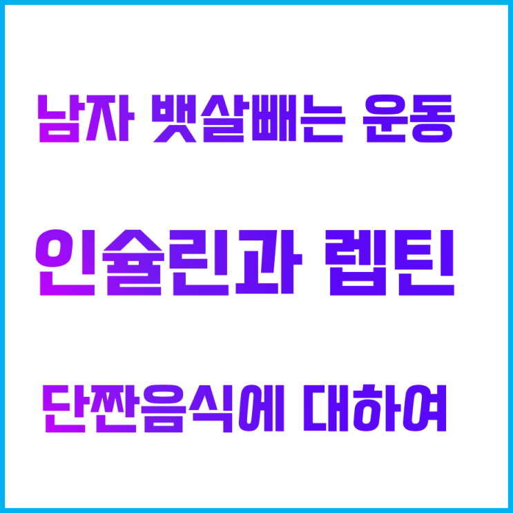  남자 뱃살빼는 운동과 호르몬, 대사의 원리에 대하여