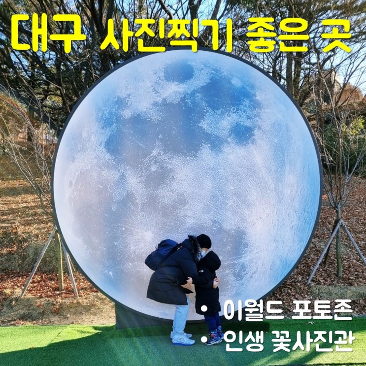  [대구 사진찍기 좋은 곳] 이월드 포토존에서 아이와 인생샷 찍기