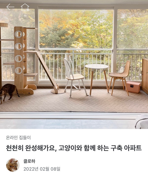 오늘의집 온라인 집들이 오픈 