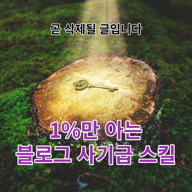  97%는 모르는 블로그 사기급 스킬(이 글은 곧 삭제됩니다)