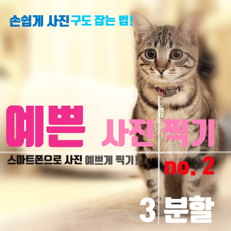  스마트폰으로 사진 예쁘게 찍기! 손쉽게 사진 구도 잡기. 난 왜 몰랐을까?