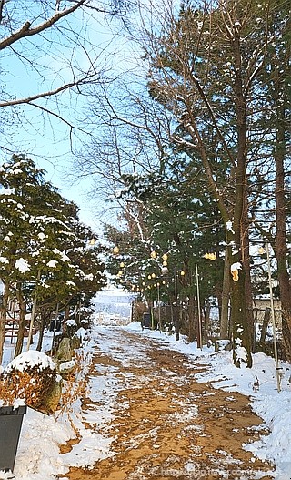  강화도 카페 '희소식'