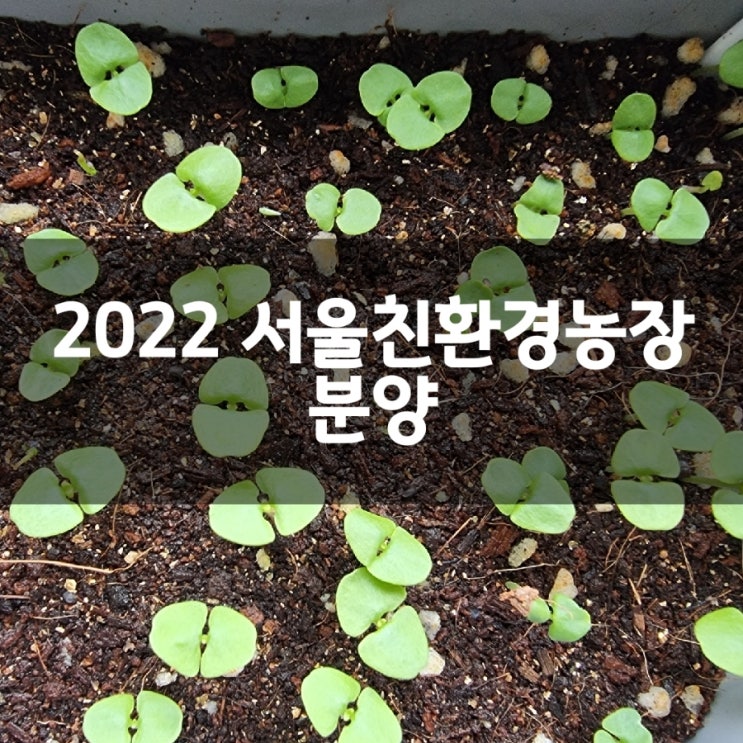 2022 서울친환경농장 분양