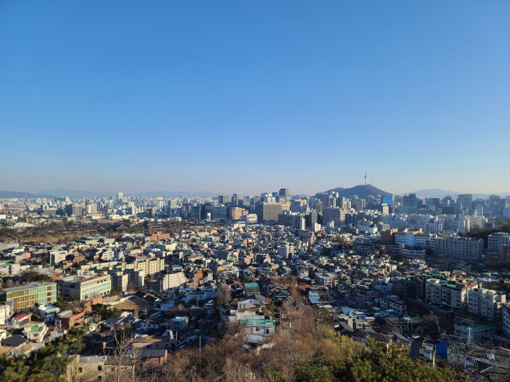 산책기록 1월 산책기록 1월
