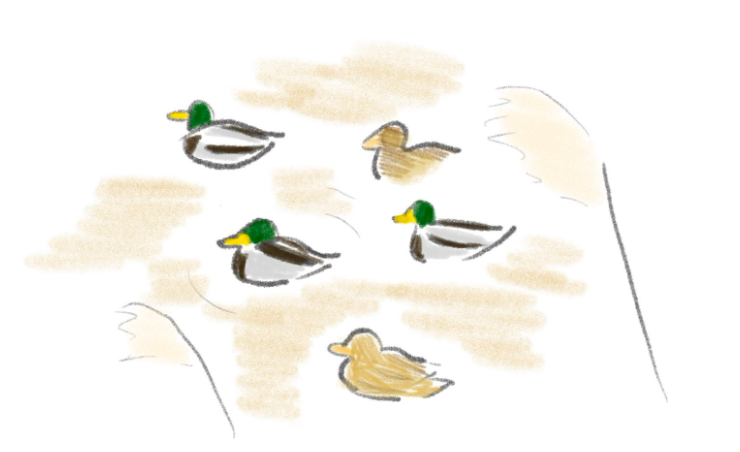  도림천 관음기